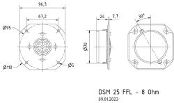 dsm25ffl_tz